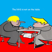 NHS on the table US UK trade deal